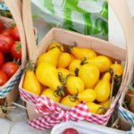 Small-Fruited Tomatoes: Tested Varieties