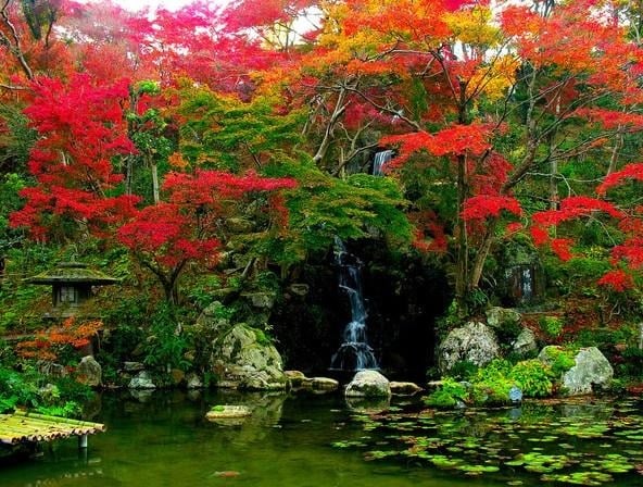 Japanese Garden - Best Landscape Ideas