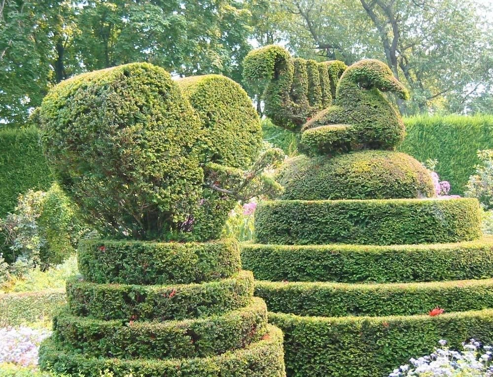 Topiary Art