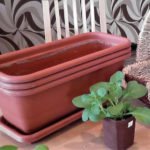 Baskets and Pots With Petunias: Plant Correctly