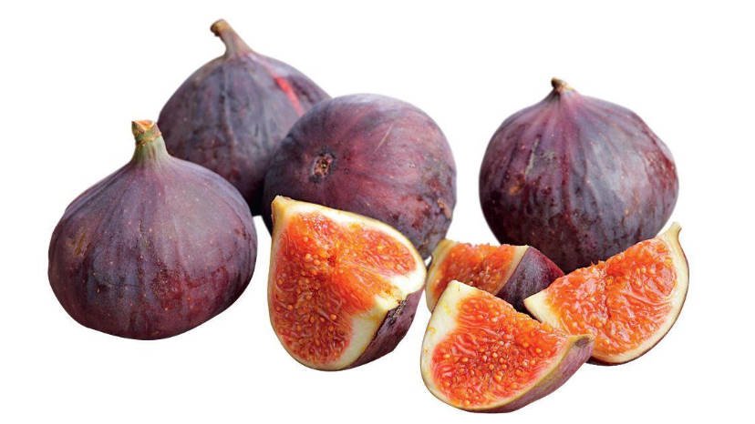 Delicacy in a Pot: Grow Figs