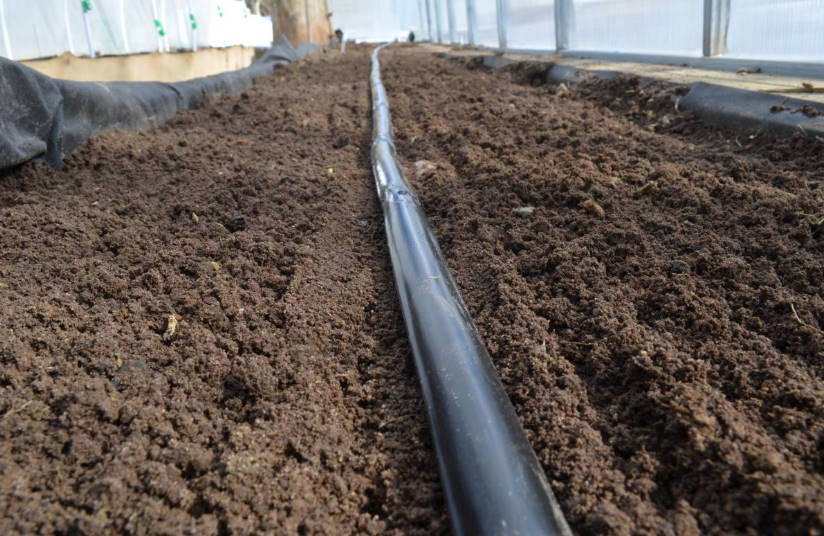 How to Arrange an Effective Drip Irrigation in the Greenhouse
