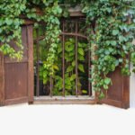 Green Curtains that are Really Effective in Combating Global Warming