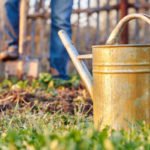 How to Make a Warm Garden for the Southern Areas