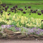 How to Make a Stylish Landscape Design Without High Costs