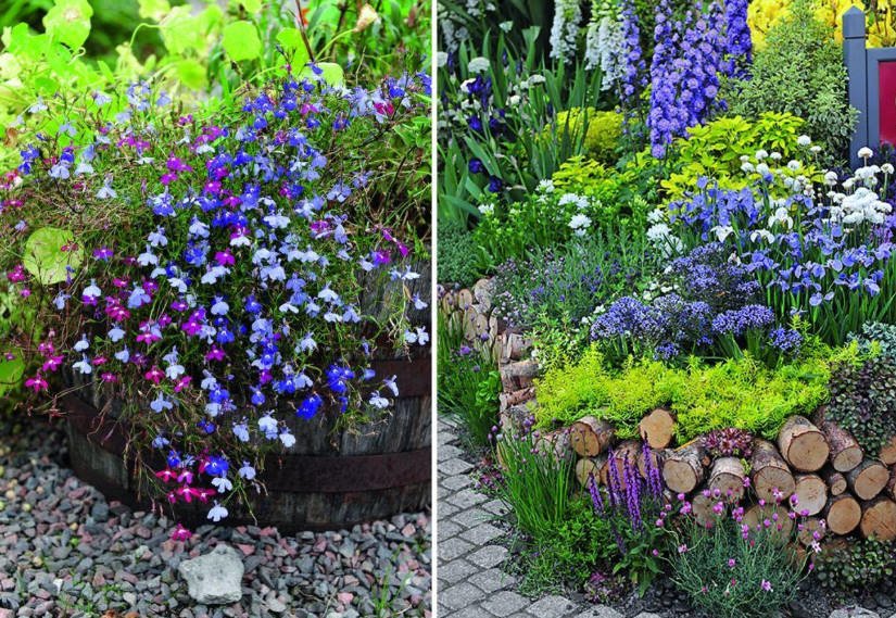 How to Make a Stylish Landscape Design Without High Costs