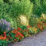 A Real Live “Baguette” for Flower Beds