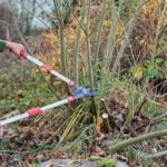Seven Times Measure, or the ABCs of Pruning