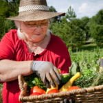 Want to Live Longer – Get Yourself a Cottage