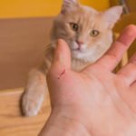 What to Do if You Get Hurt