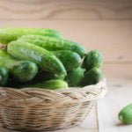 What’s the Secret to the Yield of Cucumber
