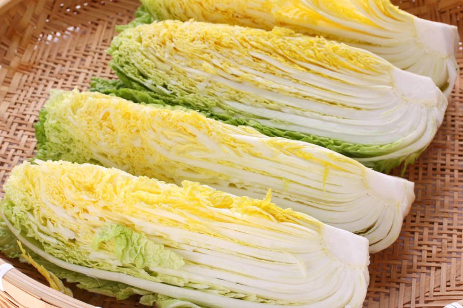 Nappa Cabbage Features of Varieties and Cultivation