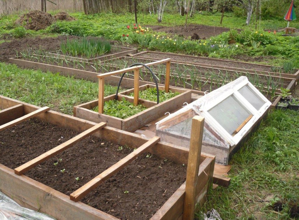 Fencing for Garden