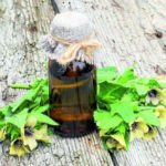 5 Myths About Folk Medicine
