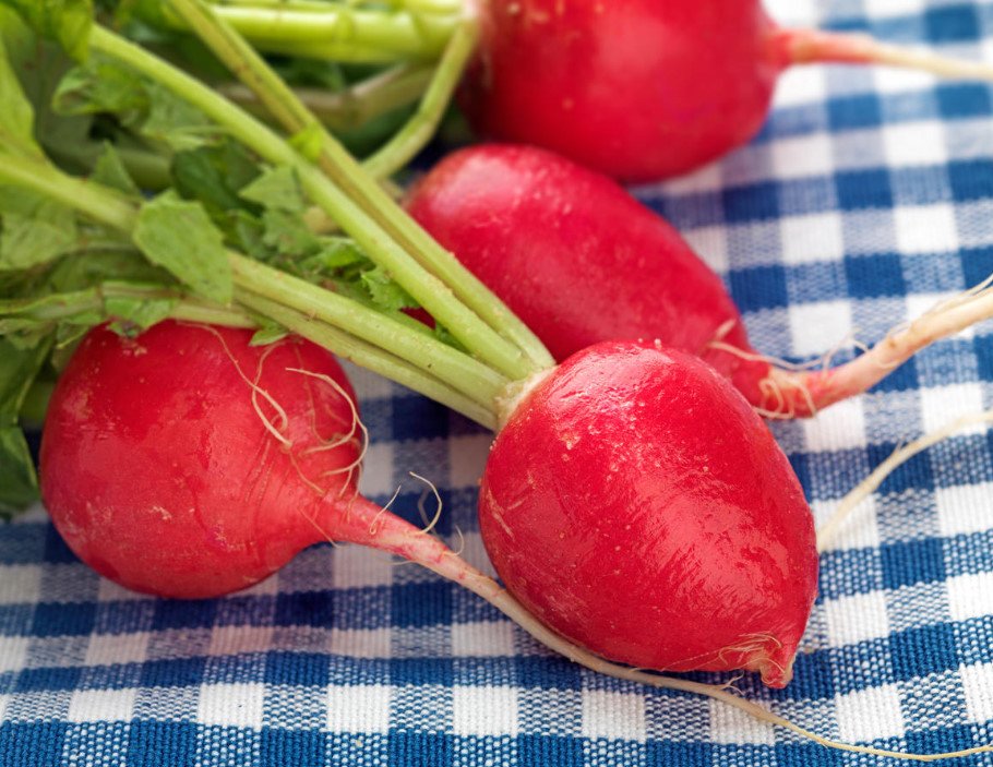 Burning Pleasure: the Benefit and Harm of Radish