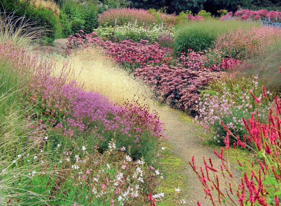 Fashion Trend: Cereals and Other Ornamental Plants for the Village Garden