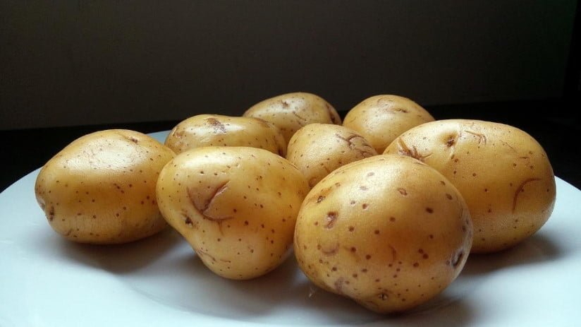Fungal and Bacterial Rot of Potatoes. Part 1