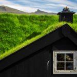 “Green” Roofs and Their Variety