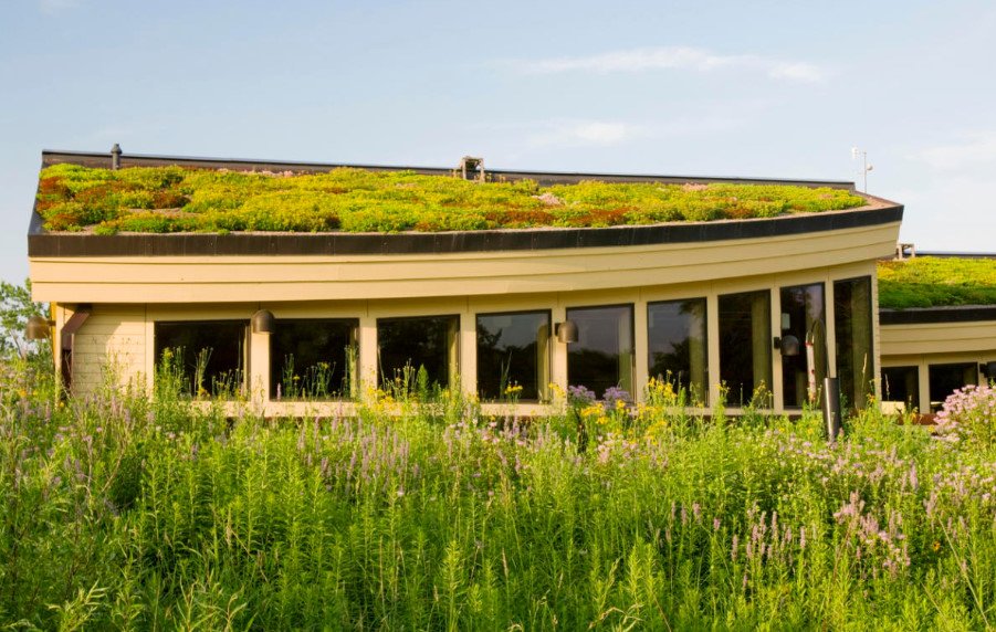 "Green" Roofs and Their Variety