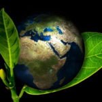 International Plant Day