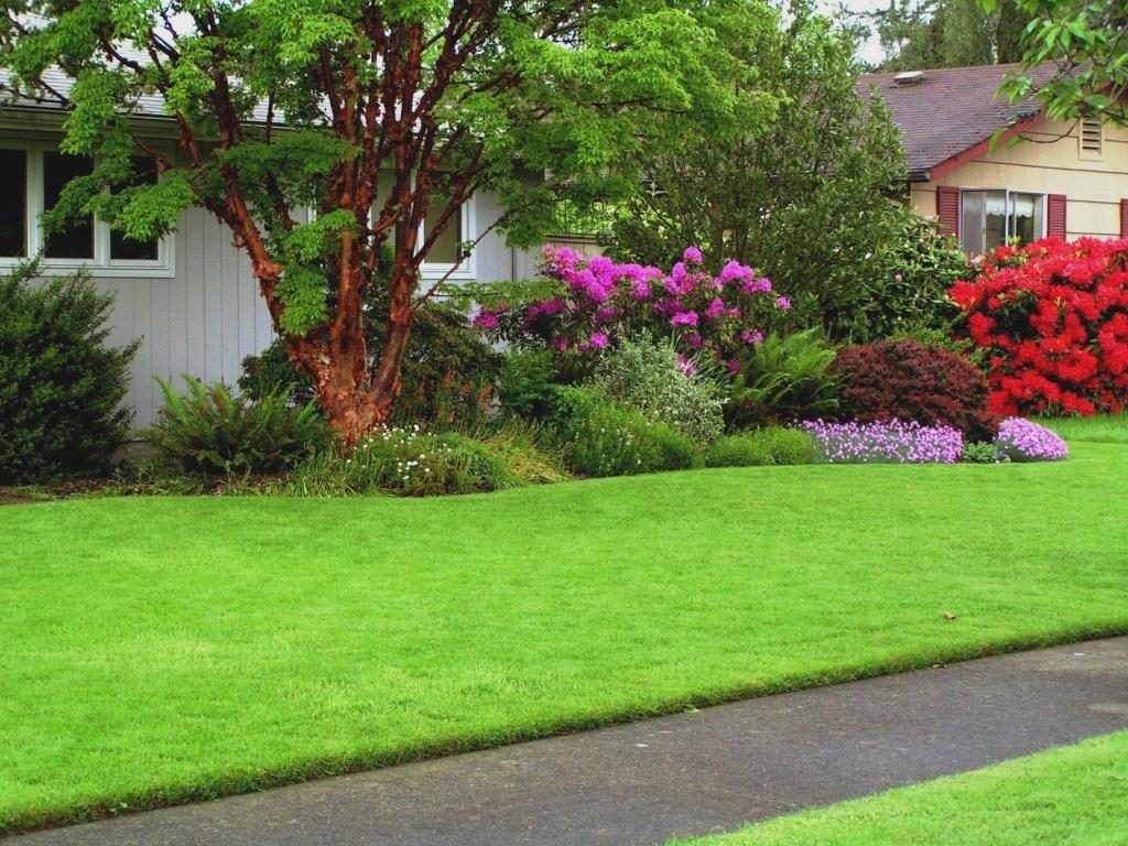 Roll Lawn-the Choice is Not Lazy, and Those who Know the Value of Time