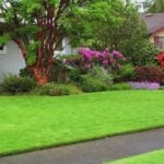 Roll Lawn-the Choice is Not Lazy, and Those who Know the Value of Time
