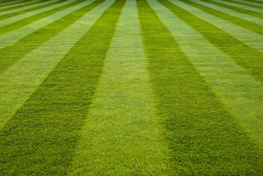 Roll Lawn-the Choice is Not Lazy, and Those who Know the Value of Time