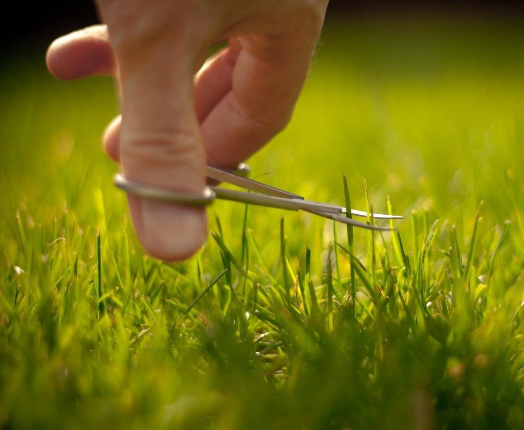 Lawn Care