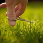 Lawn Care