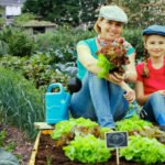 The three Most Popular Mistakes that Gardeners Make