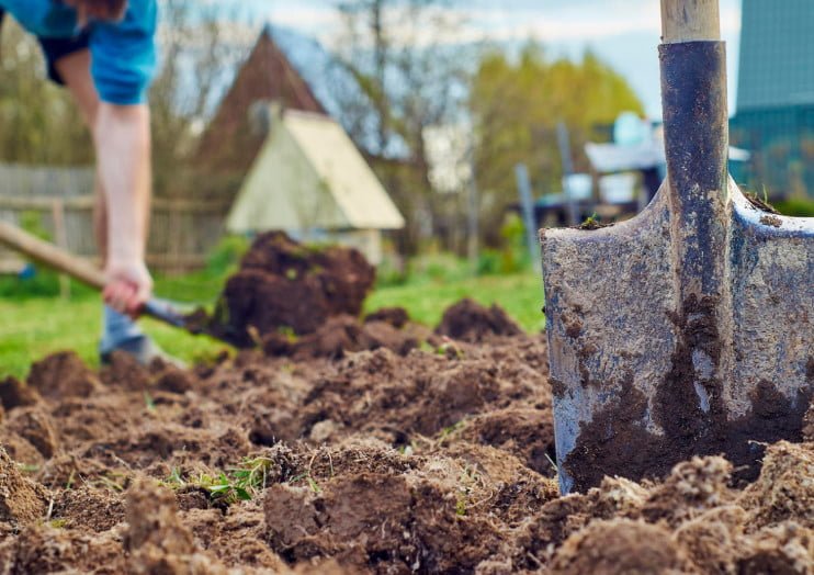 The three Most Popular Mistakes that Gardeners Make