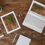Can Plants Protect Humans From the Harmful Effects of the Computer?