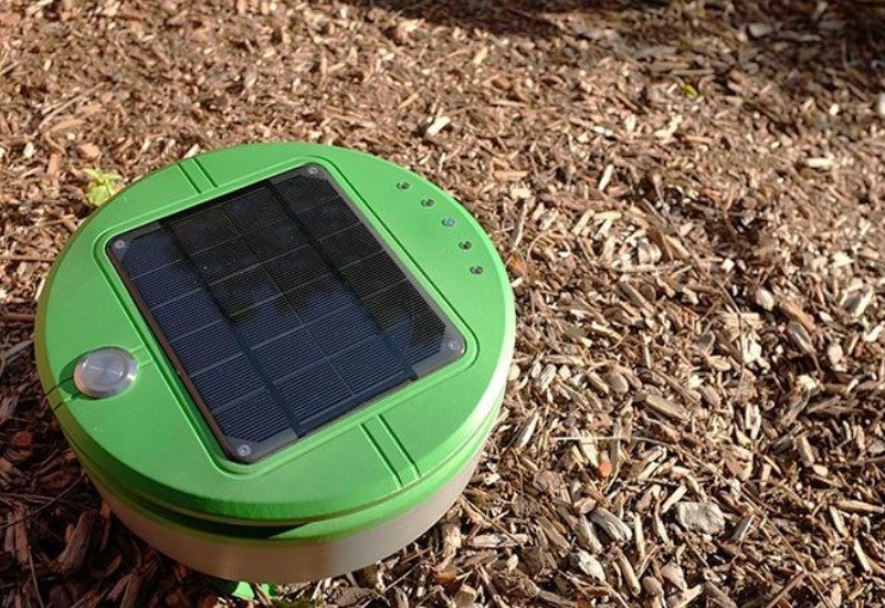 Electronic Tortilla Will Save the Garden From Weeds