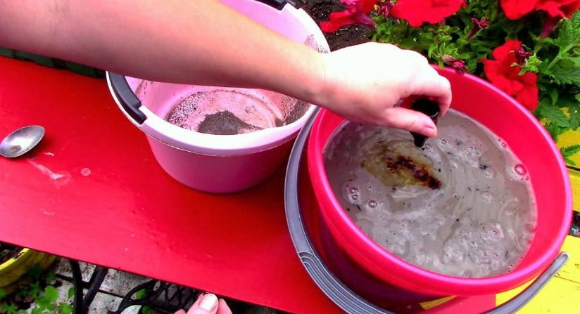 Fertilizing Tomatoes During Fruiting