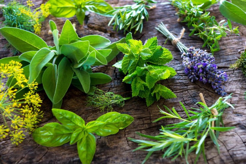 How to Dry Medicinal Herbs