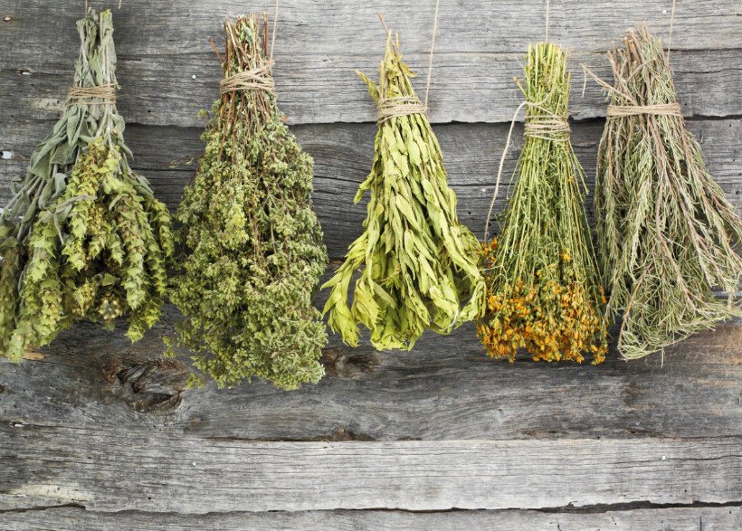 How to Dry Medicinal Herbs