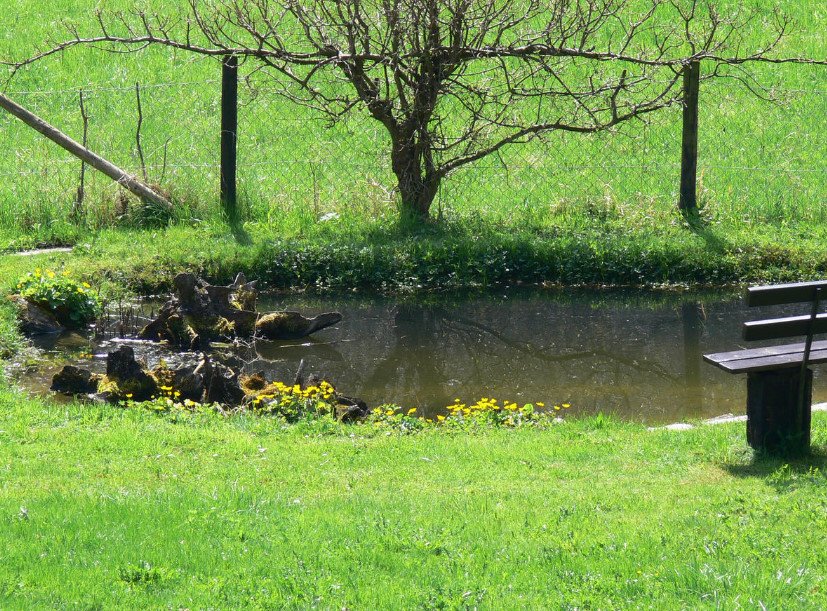 How to Fill a Pond: Elimination of Artificial and Natural Reservoir
