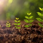 Plant Growth Regulators: Pros and Cons