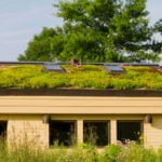 Roof Gardens: History and Modernity