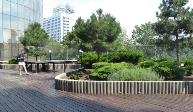 Roof Gardens: History and Modernity