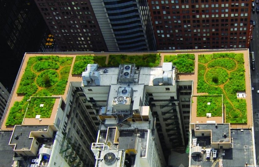 Roof Gardens: History and Modernity
