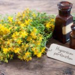 St. John’s Wort, Some Useful Properties and Contraindications