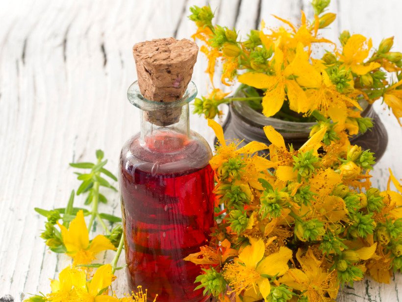 St. John's Wort, Some Useful Properties and Contraindications
