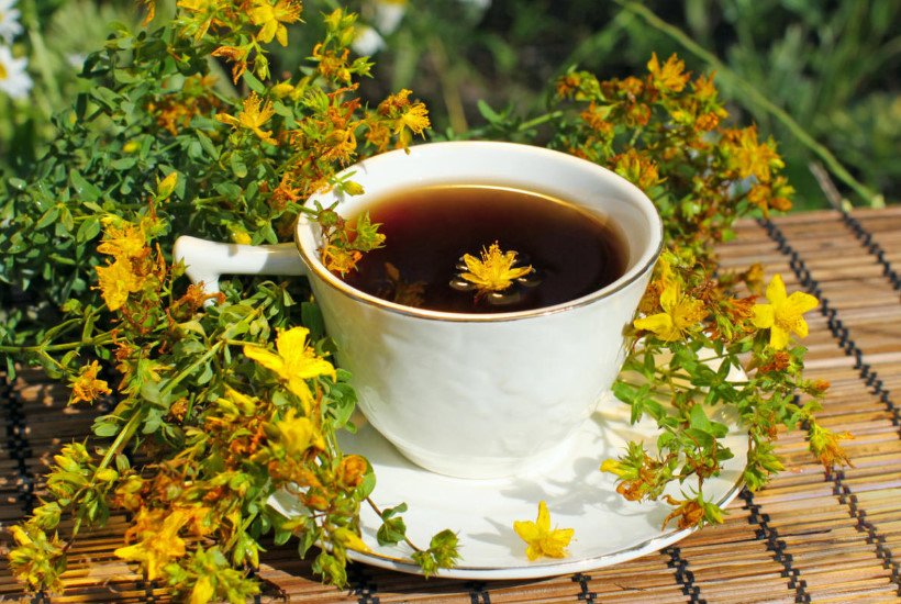 St. John's Wort, Some Useful Properties and Contraindications
