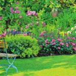 The Lawn as a Way to Save Money