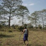 The Man Who Planted the Whole Forest