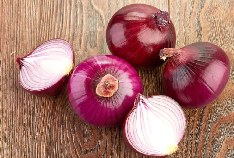 Traditional Recipes With Onions for Beauty Best Landscape Ideas