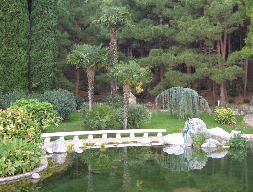 Weeping Conifers for the Garden