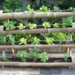 Vertical Kitchen Gardens: Pros and Cons