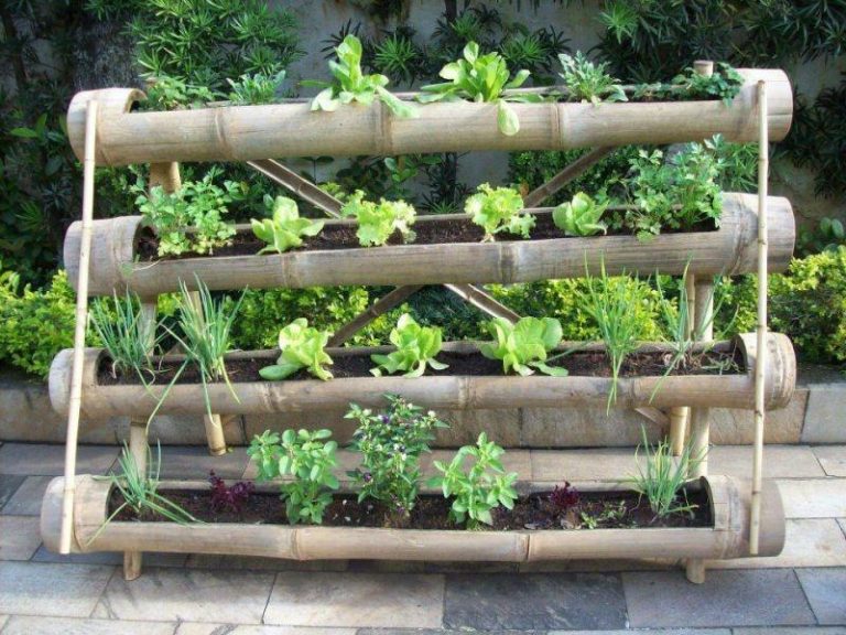 Vertical Kitchen Gardens Pros and Cons Best Landscape Ideas